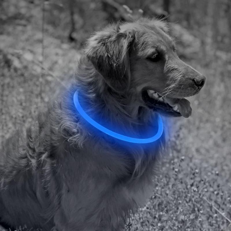 Spupps USB Rechargeable LED Dog Collar for Small Medium Large Dogs