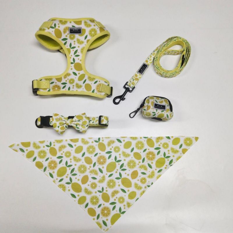 2021all Kinds of Full Sets Breathable Mesh Pet Dog Harness Running Training Pet Products