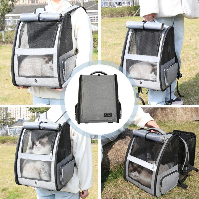 Amazon Best Seller Latest Design Pet Carrier