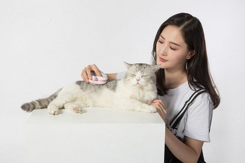 Hot Sale Pet Grooming Cat Slicker Brush Dog Pet Massage Comb