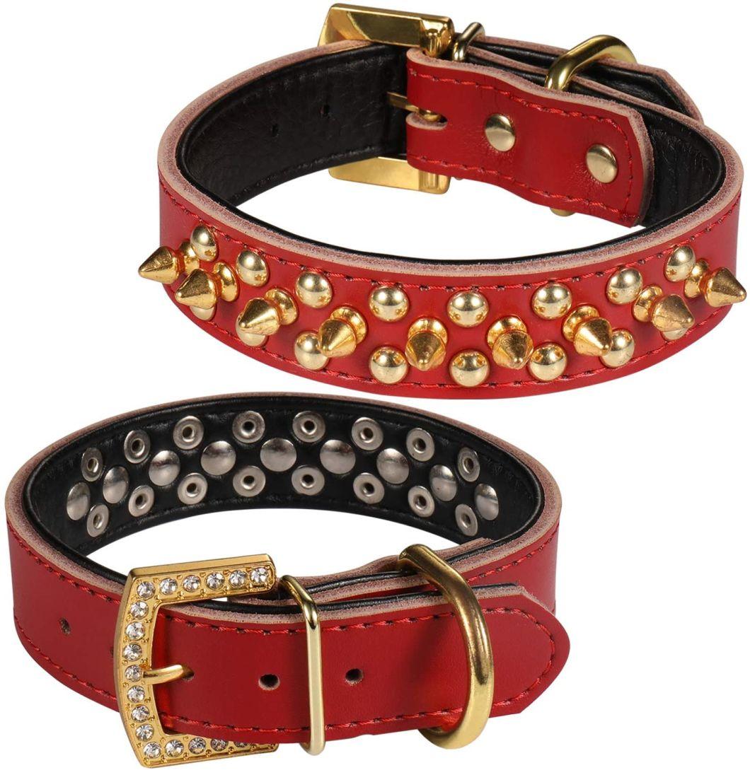 Gold Spikes Studded Personalized Collar