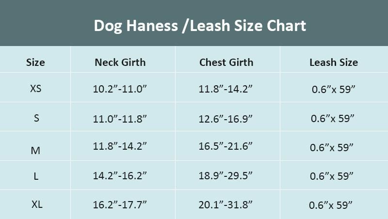 Hot Sell Customized Pattern Dog Harness Cute Mesh Comfortable Vest