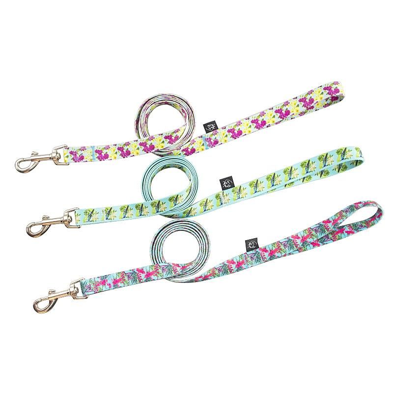Pet Manufacturer Custom Luxury Woven Label Print Double Logo Dog Cat Puppy Collar Leash Set