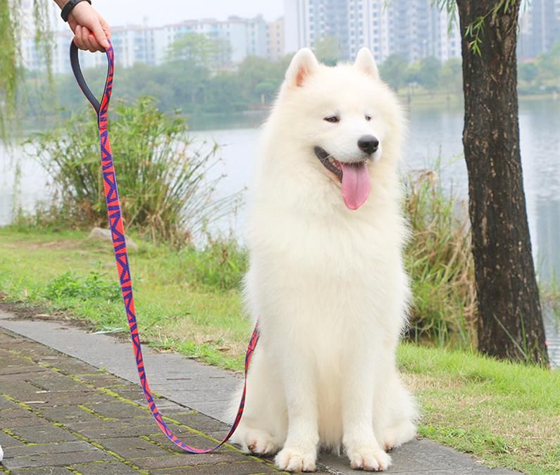 Rainbow Jacquard Weave Pet Accessories Dog Leash Dog Product
