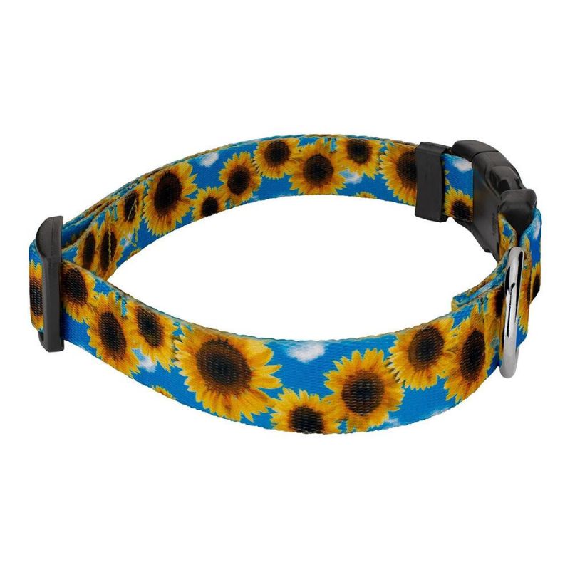 Custom Logo Premium Personalized Detachable Buckle Dog Collar