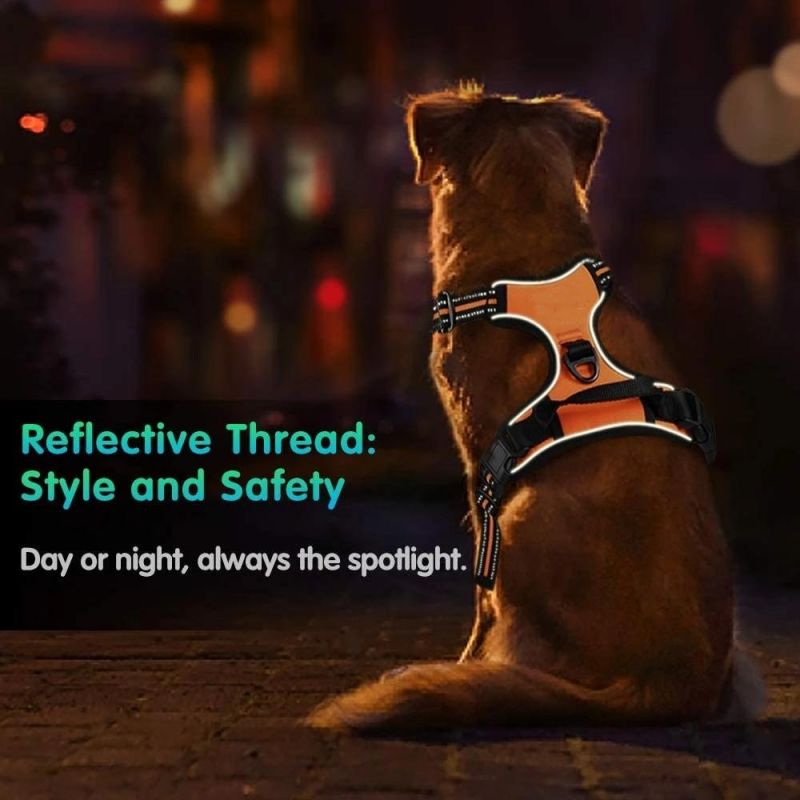 No Pull Design & Better Control Dog Harness
