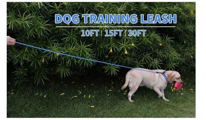 Outdoor Long Leash 10FT 15FT 30FT for Dog Training, Beach, Yard, Camping, Swimming