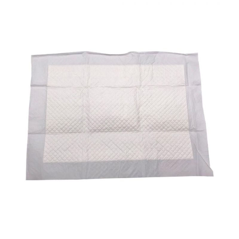 Wholesale Disposable Pet Mat