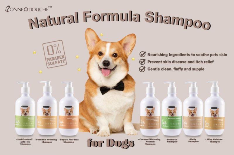 OEM Hot Sales Natural Fluffy Look Anti-Kont Cat Shower Shampoo 470ml
