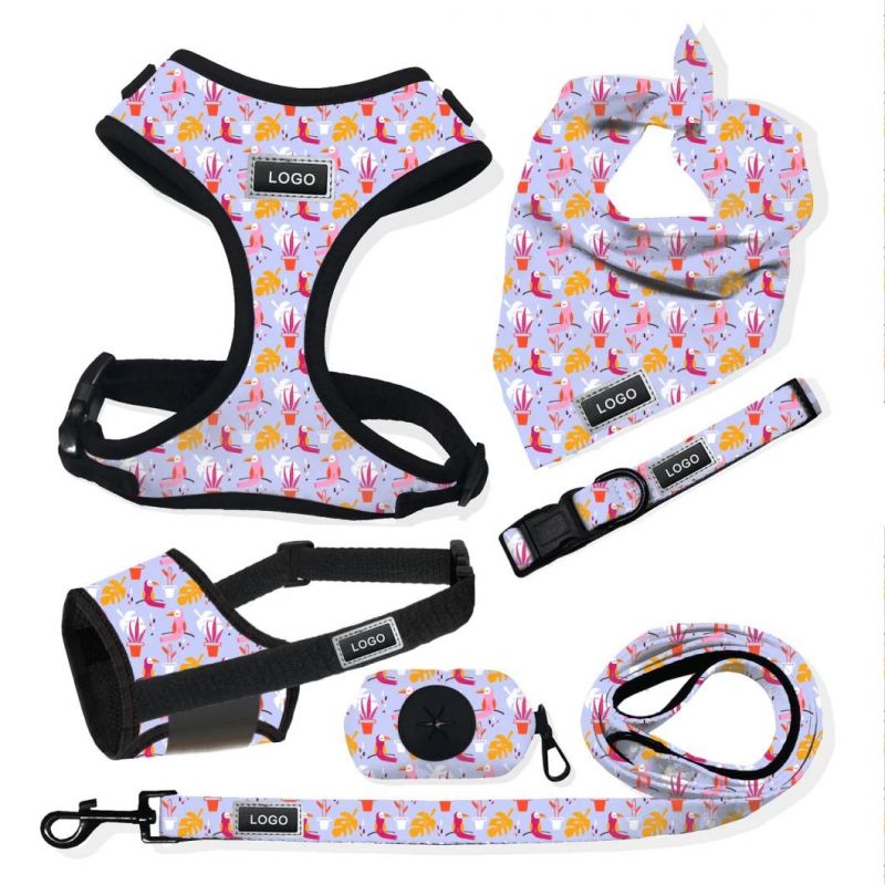 Adjustable Custom Dog Harness Collar Lead and Muzzle High Quality Personalized Dog Accessories