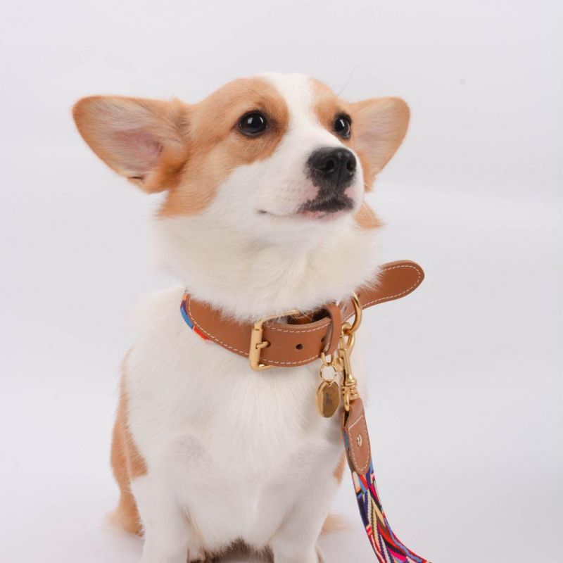 Wide Personalised Webbing Dog Collar with Leather