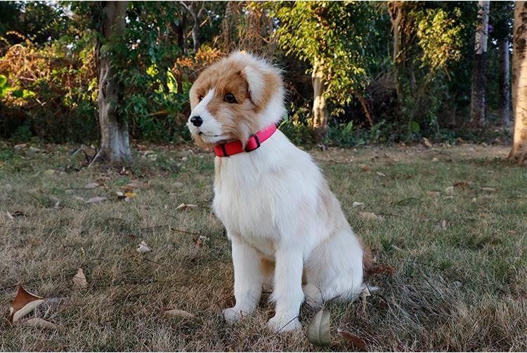 Wholesale Personalized OEM Wide Adjustable Pet Neck Nylon Custom Dog Collars