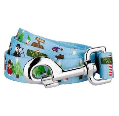 Individual Packaging 2cm Customized Accessories Harness Matching Leash Dog Product Polyester Pet Products