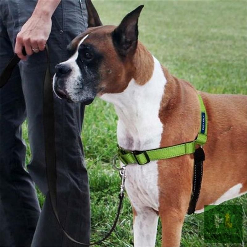 Reflective Nylon Collar Pet Products Adjustable Guide Training Dog Harness