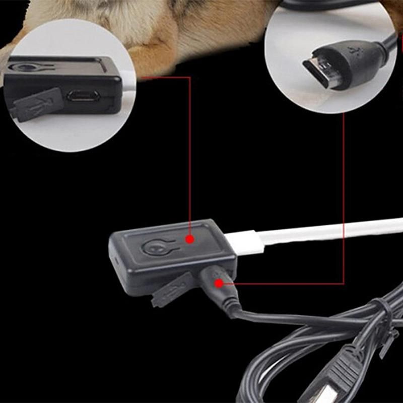 Leopard LED Lighting Dog Collar Dog Product Pet Products