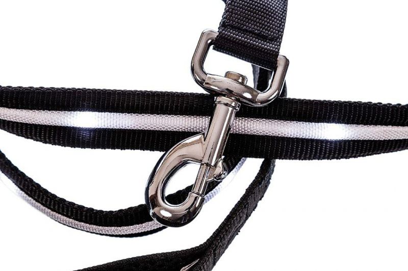 4FT & 6 FT Water Resistant Lighting LED Dog Leash
