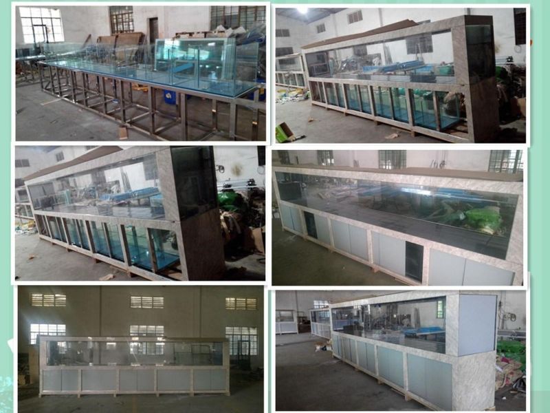 High Quality Clear Goldfish Aquarium