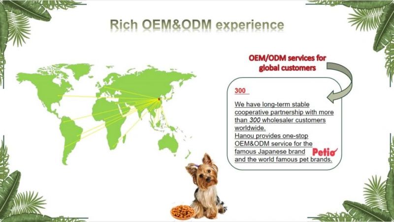 OEM/ODM Non-GMO Customized Package Pet Dry Food