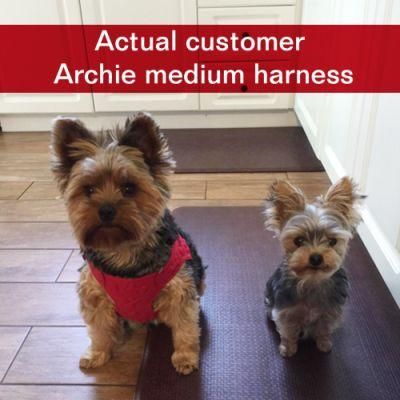 Pet Harness with Two Reinforced D-Rings to Keep Sturdy