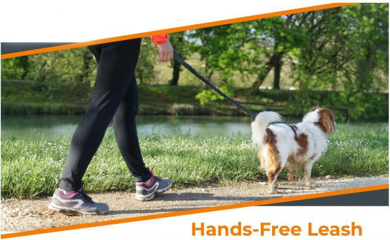 Upgraded Shock-Absorbing Dog Lead Safe Retractable Dog Leash