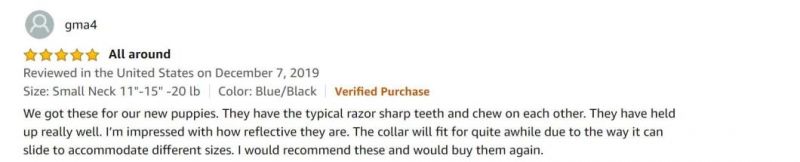 Nylon Webbing Pet Strap Light Weight Reflective Dog Collar