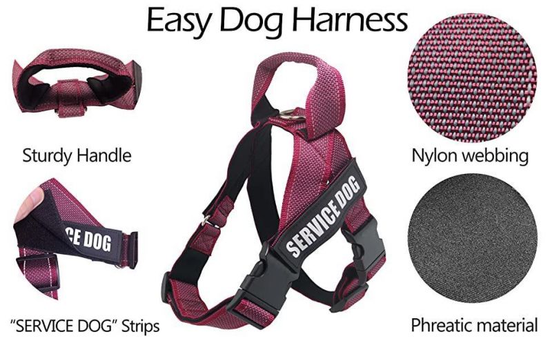 Neoprene Padded Soft Service Dog Vest Harness with Handle for Summer Outdoor Walking Dog and Training