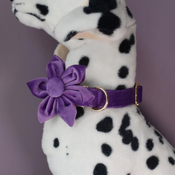 Classic Dog Collar Soft Comfortable Adjustable Collar
