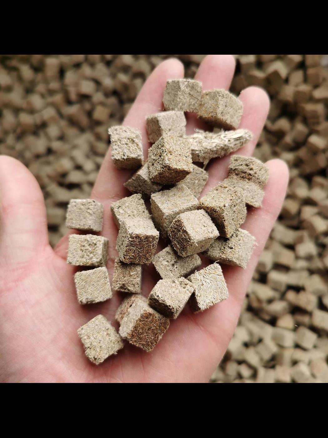 Freeze Dried Tubifex Worm Cubes