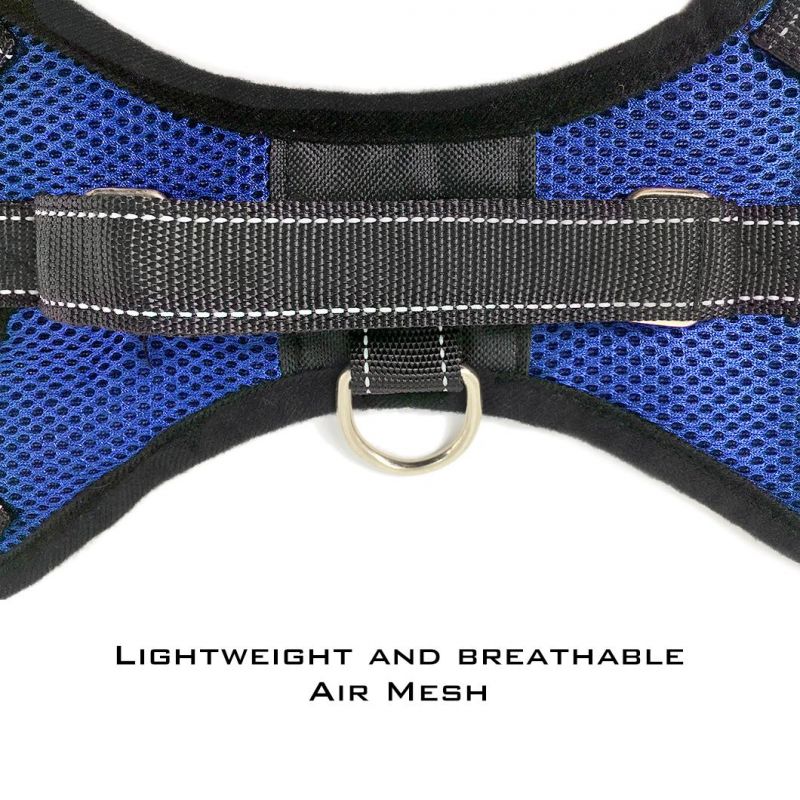 Breathable Wholesale Summer Dog Harness Pet Accessories