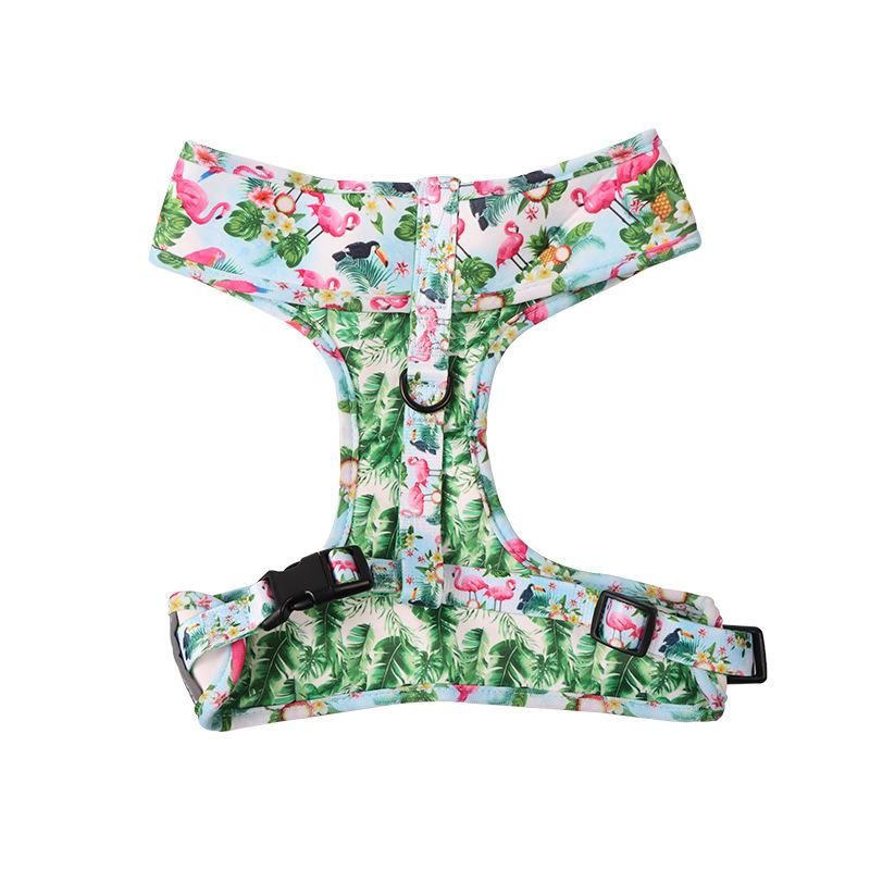 OEM Custom Designer Soft Padded Sublimation Patterns Pet Supplies Dog Leash Set Pet Neoprene Neck Adjustable Dog Harness