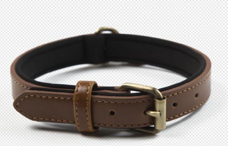 Custom Padded PU Leather Pet Dog and Cat Collar Leash