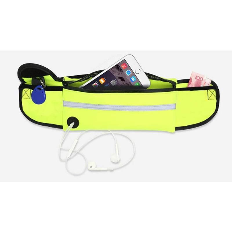 Hands Free Dog Leash and Collar for Running Walking Training Hiking