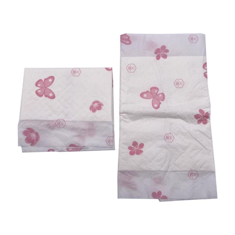 Manufacture Super Soft High Absorbent Disposable Pet Pads Pet Traning Pads From China