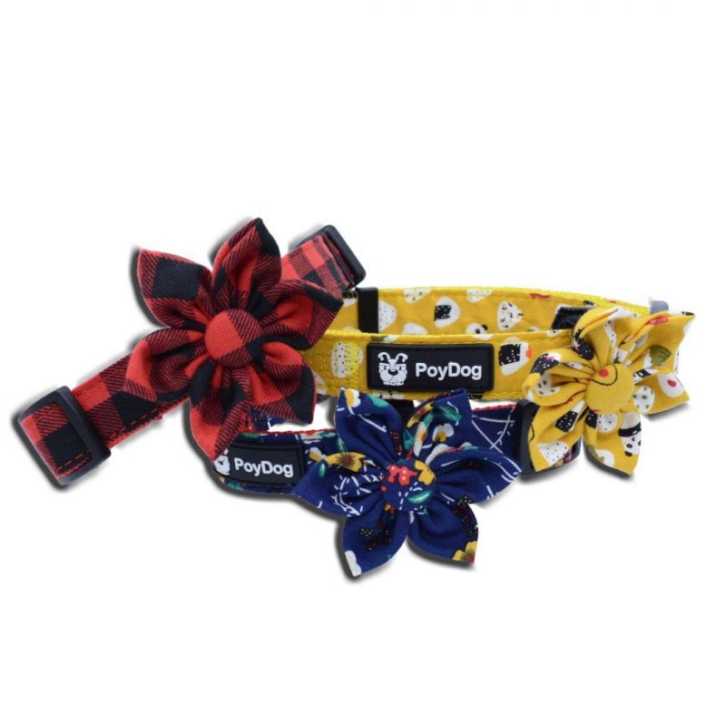 Custom Dog Collar Cotton Dog Leash Pet Collar