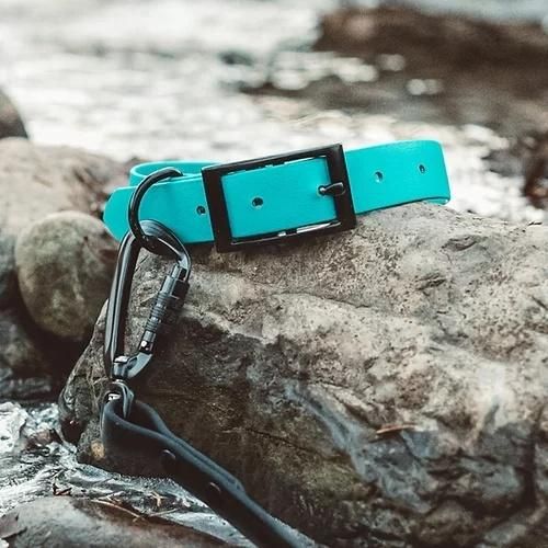 Big and Little Dogs Frenchie Bulldog Pawsome Waterproof Silicone Dog Collar