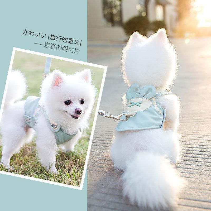 Manufacturer Custom Fashion Adjustable Pet Collar and Leash Harness Heat Transfer Sublimation Logo Printed Dog Collar