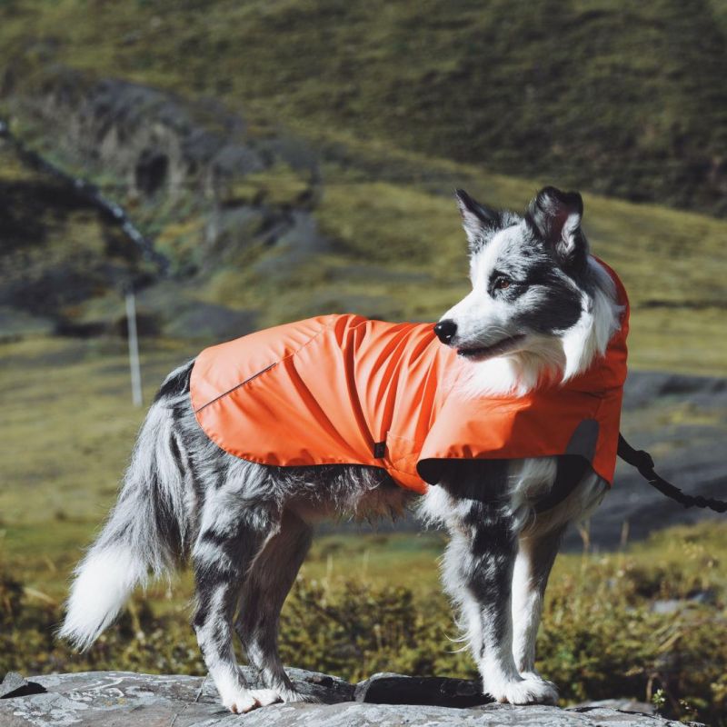 Waterproof PU Raincoat Rain Jacket Dog Coat Clothes Dogs Pet Product Anhui