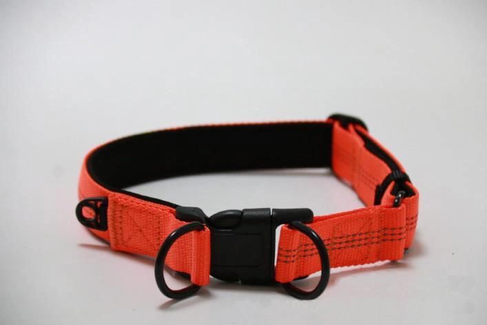 Night Reflective Double D-Ring Plastic Buckle Durable Nylon Dog Collar