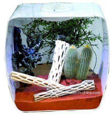 Best Selling Acrylic  Reptile Products Shenzhen Factory