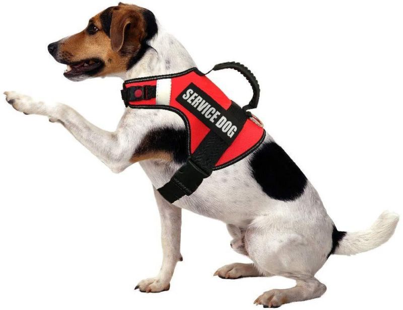 Customized Orange Color No Pull Dog Harness Service Dog Vest for Small Medium & Large Dogs