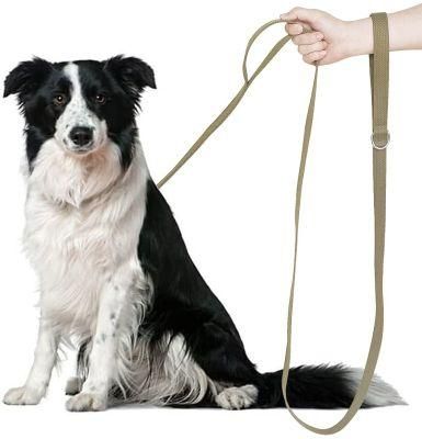 Custom Reflective Nylon Dog Leash Double Handle with Heavy Duty for Dog Training