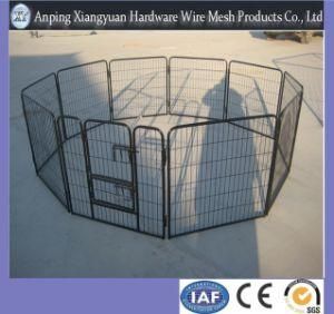 Heavy Duty Steel Dog Kennels, Dog Cage, Dog House