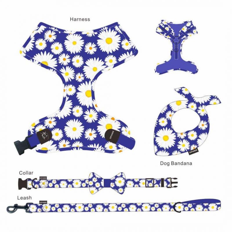 Hot Sale Color Round Rope Chest Strap Durable Nylon Belt Color Dog Leash and Harness Pet Leash Set
