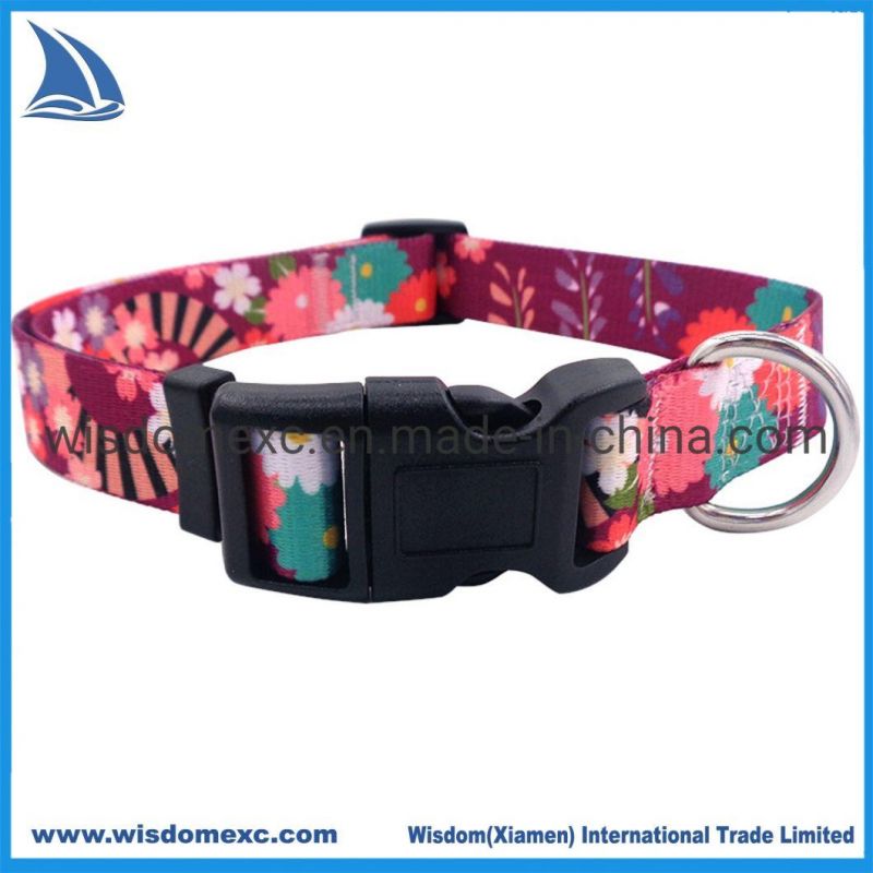 Leash Set Dog Harness with Matching Pet Leash E Dog Collar