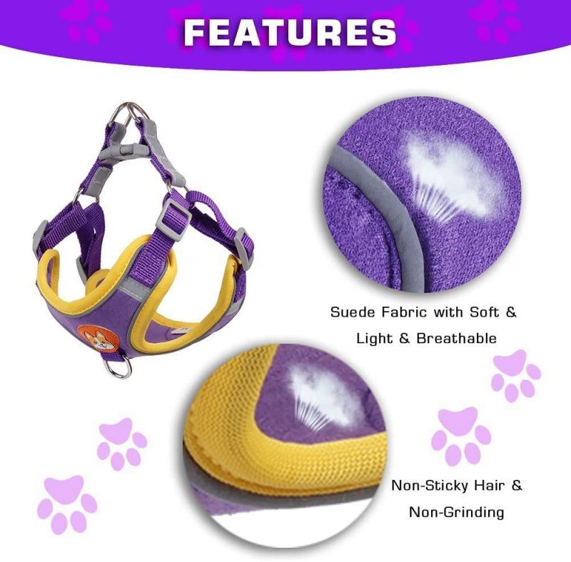 Fashion Hightlight Color Pet Harness Vest Reflective Dog Harness Set