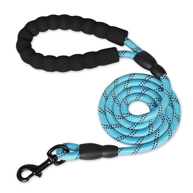 Fashion Accessory Colourful Supply Wholesale Pet Leash