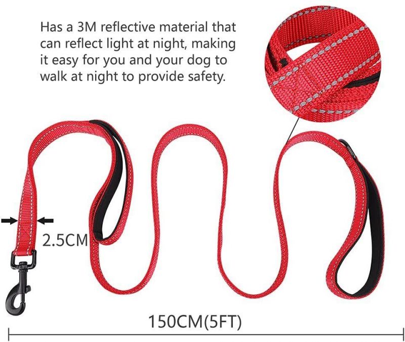 Two Comfortable Handles for Extra Control, Safe Reflective Nylon Rope Dog Leash