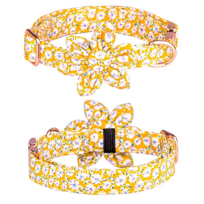 Dog Collar Floral Girl with Removable Cute Flower Metal Buckle Adjustable Pet Collar