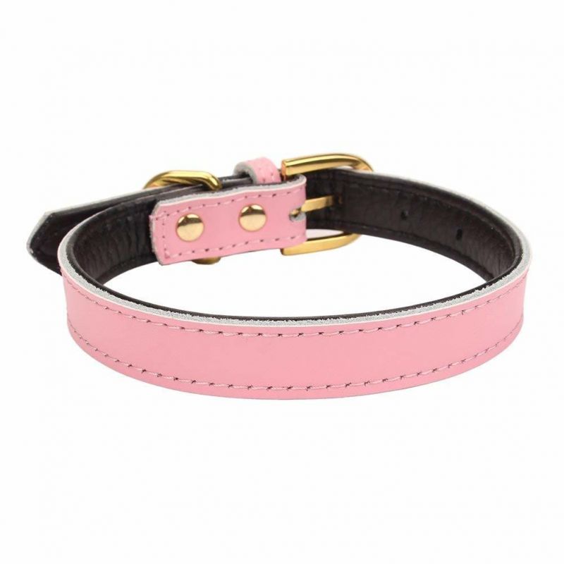 Basic Classic Padded Leather Pet Collars for Cats Puppy Small Medium Dogs