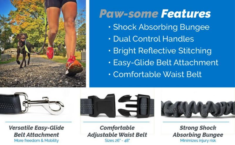 Bungee Dog Leash Extension Gentle Leader Tangle Free Dog Lead